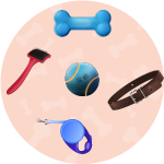 Pet-accessories-1